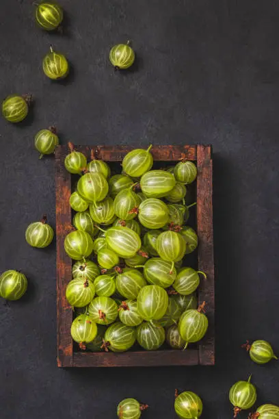 Ripe green gooseberry berry in wooden box. Green gooseberry on black background. Top view