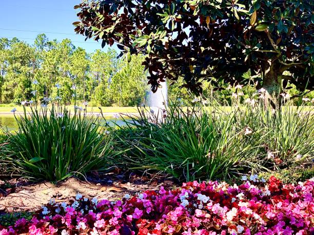 istock Pond Flower Bed and Fountain 1257122108