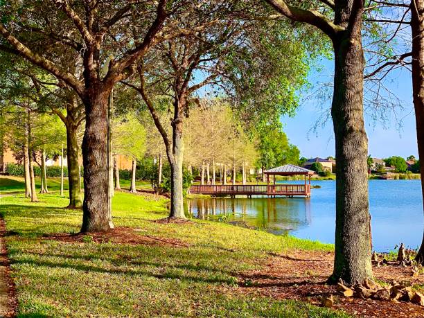 istock Forest Lake and Gazebo 1257122120