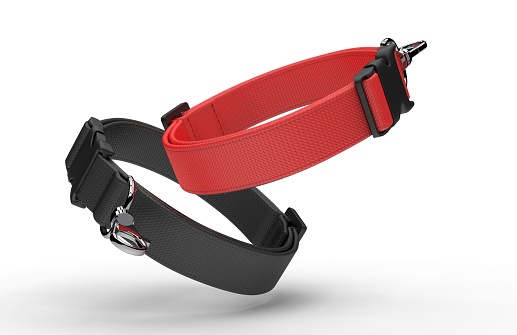 Blank dog adjustable collar belt mock up for branding and design, 3d illustration.