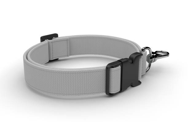 istock Blank dog adjustable collar belt mock up for branding and design, 3d render illustration. 1257124703