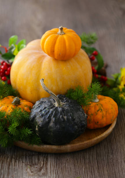 istock fresh pumpkins for decoration 1257124835