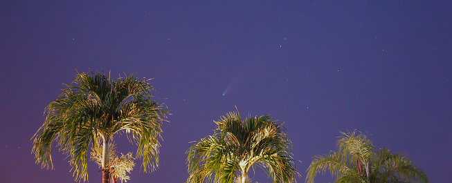 A shot of the Neowise comet over the skies of Miami, Florida on July 2020.