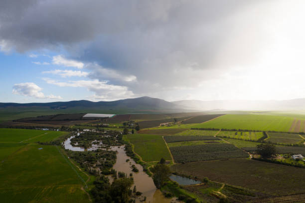 istock Rain falls over farmlands in the Western Cape 1257130638