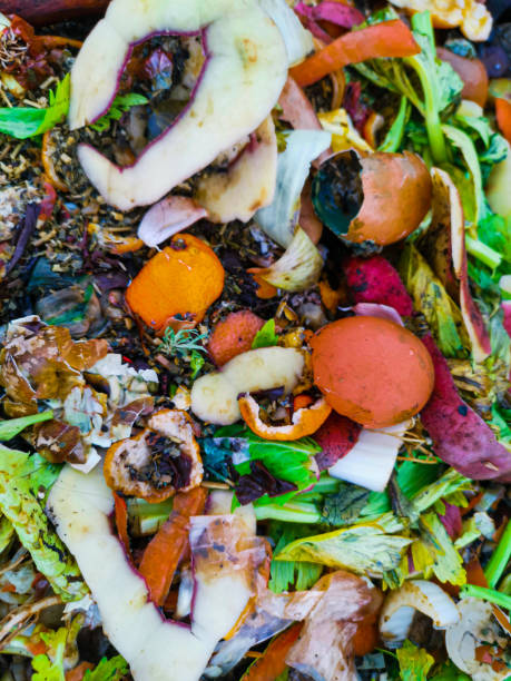 istock Organic food used for compost 1257130747
