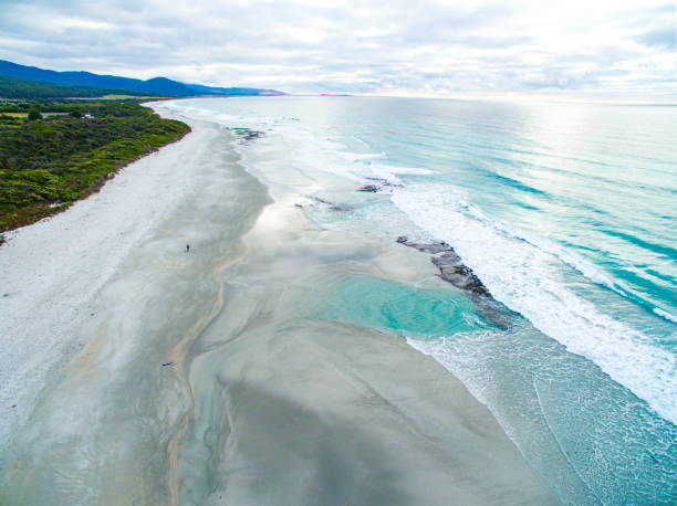 istock Walking Dog on Denison Beach, Bicheno 1257130833