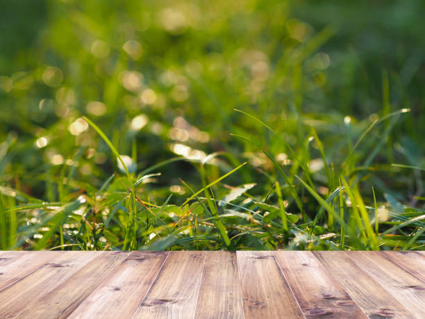istock Wood table top over green grass field 1257132736