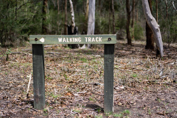 istock Walking track wooden signage 1257136857