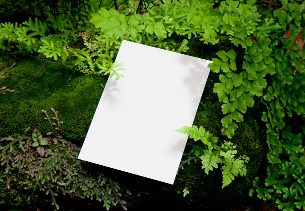 Invitation Mockup. Top view blank card on greenery background with clipping path.