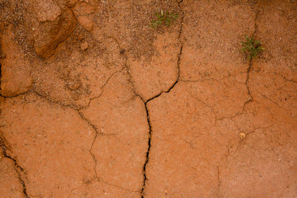 istock Natural texture. Dry cracked clay soil, clay 1257140294