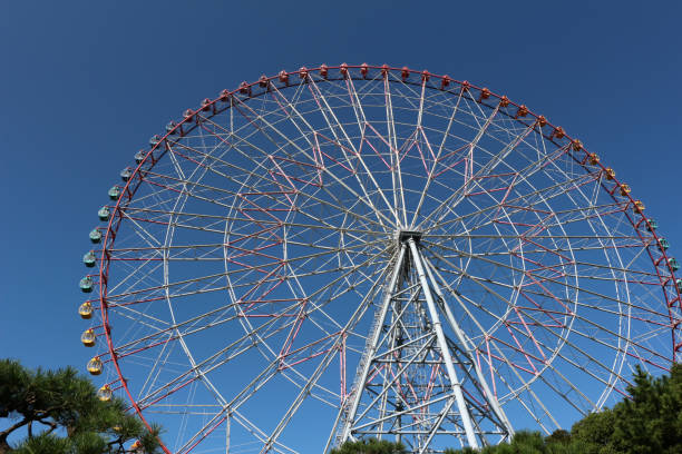 A ferris wheel in the park