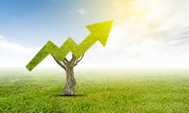 istock Growing plant graph. Finance and business concept. 1257145881