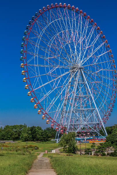 istock A ferris wheel in the park 1257147447
