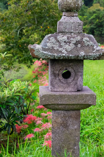 istock Spider lilies seen through a hole in an old stone lantern 1257148916
