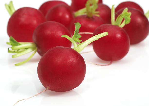 istock Red Radish, raphanus sativus against White Background 1257149016