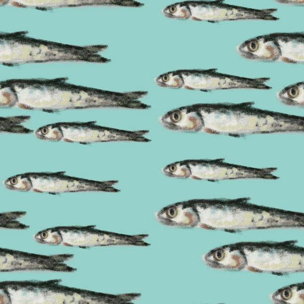 istock anchovy pattern, ideal footage for themes such as Mediterranean cuisine and maritime themes 1257149753