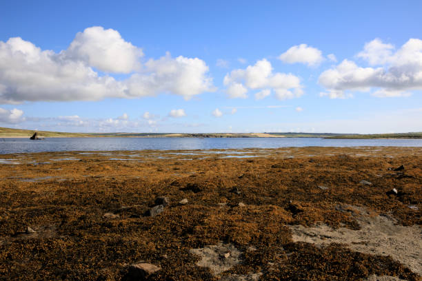 istock Scotland, Highlands, United Kingdom. 1257149790