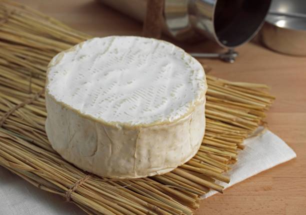 istock Brillat Savarin, French Cheese produced from Cow's Milk 1257150039