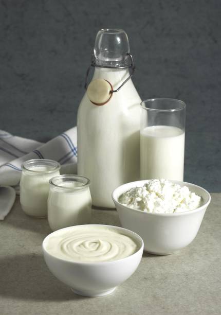 istock Dairy Products, Cream, Milk, Soft cheese, Yogurt 1257150082
