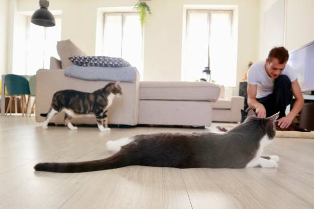 istock Relaxing in the living room 1257150412