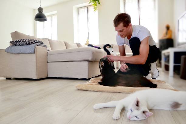 istock Relaxing in the living room 1257150430