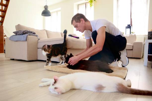 istock Relaxing in the living room 1257150461