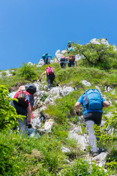 gruppo di persone escursioni sul campo da sentiero in pendenza fino alla cima della montagna prsivec nelle alpi giulie, slovenia. - lake bohinj foto e immagini stock