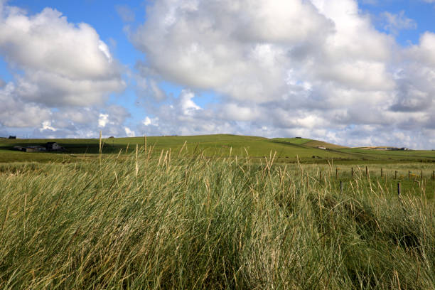 istock Scotland, Highlands, United Kingdom. 1257156452