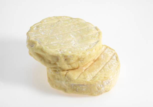istock Saint Marcellin, French Cheese produced from Cow's Milk 1257156542