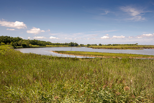 Views of the Ornithological Reserve of Teich, next to the Arcachon Bay, in the Gironde Department, France