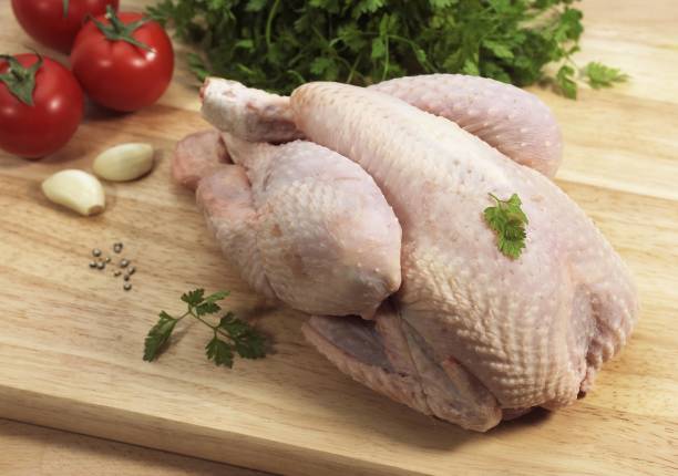 istock Chicken ready to be Cooked with Garlic, Tomato and Parsley 1257157537