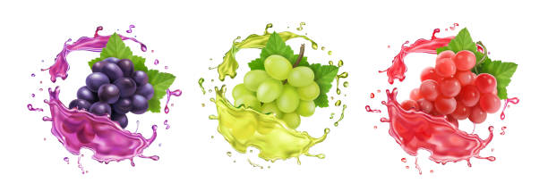 Red, rose and white wine grapes in juice splash Red, rose and white wine grapes in juice splash. Table grape banches in splashing wine. Realistic fresh fruit vector icon set. merlot grape stock illustrations