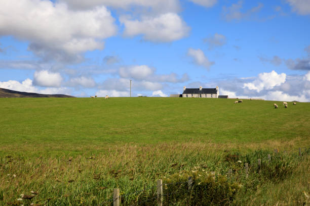 istock Scotland, Highlands, United Kingdom. 1257158487