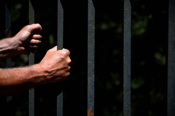 istock Two hand holding steel bars at a fence 1257161661