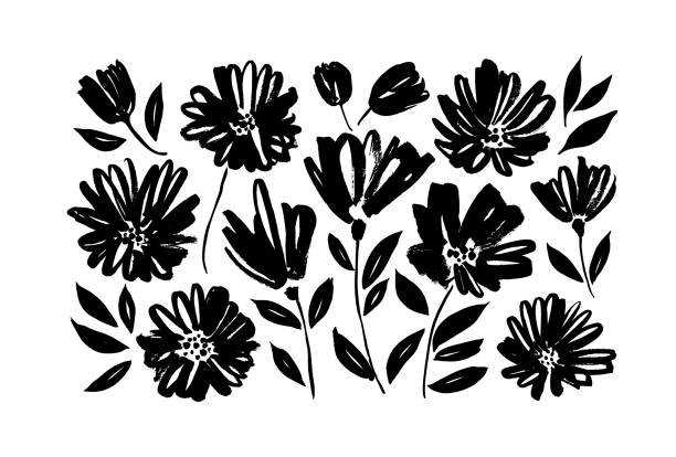 ilustrações, clipart, desenhos animados e ícones de flores da primavera desenhados à mão conjunto vetorial. silhuetas de flores de pincel preto. - white background flower backgrounds bouquet