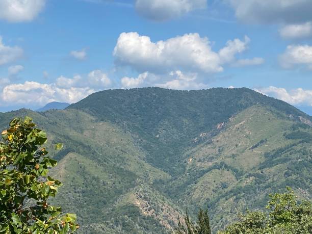 istock Monte Monarco , north of Italy 1257163779