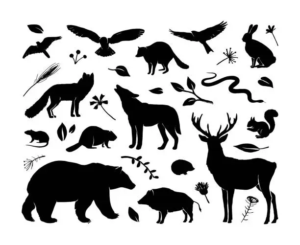 Vector illustration of Vector silhouettes animals set. Deer, hare, fox, hedgehog, squirrel, wolf, bear, snake, beaver, raccoon, mouse, wild boar and birds. Black silhouettes animals isolated on white