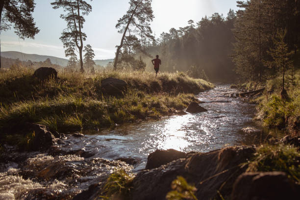 istock Morning jogging in a field 1257165510