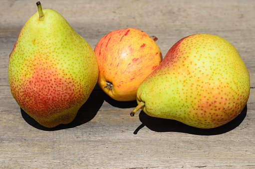 Two ripe juicy pears and an apple on a rough wooden surface. Selective focus.