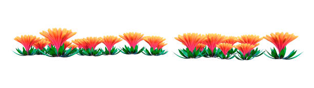istock 3D illustration  alien plant on white 1257172958
