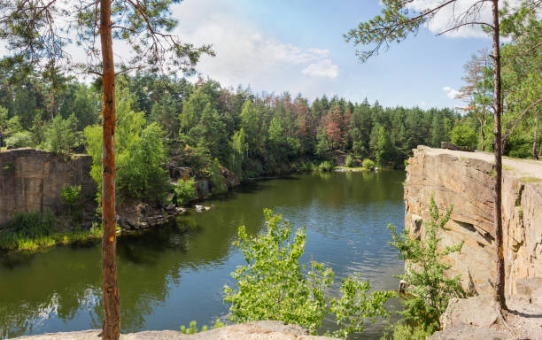 istock Forest lake with rocky shores and trees trunks on foreground 1257174067