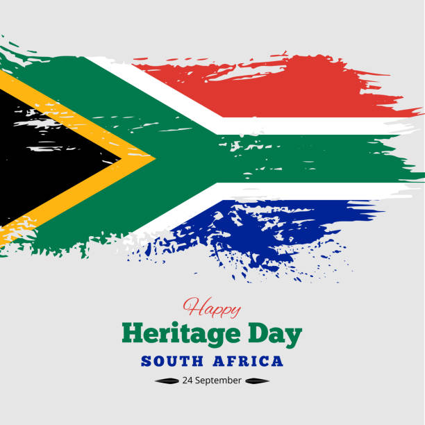 ilustrações, clipart, desenhos animados e ícones de feliz dia da herança sul áfrica fundo, vetor - south african flag flag africa south africa