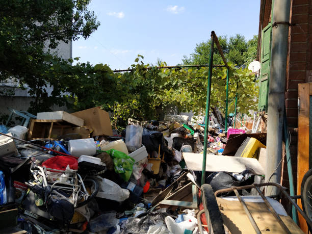istock Abandoned yard full of rubbish 1257177995