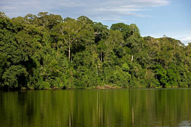 istock Madre de Dios River at Manu National Park in Peru 1257180452