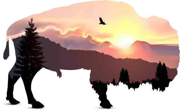 Silhouette of bison Silhouette of bison with coniferous trees on the background of mountains and colorful sky. Sunset. silhouette evergreen tree back lit pink stock illustrations