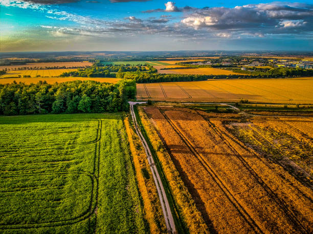 Oxfordshire Countryside from The Ridgeway. July 2020 stock photo