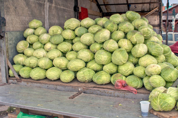 istock Cabbage sale from the truck 1257187051