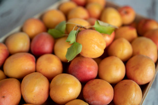 абрикосы с листьями на старом деревянном столе - apricot portion antioxidant fruit стоковые фото и изображения