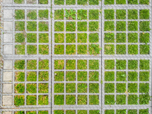 Square paving slabs with holes for the lawn.