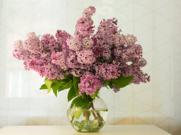 istock A bouquet of tender pink lilacs on the table. 1257190435